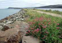 Ysgol Bro Gwaun fishing club takes to the water