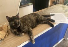 Angling pair taste fish-story victory