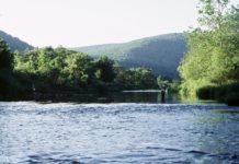 The longest day | The River Reporter