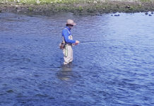 Fly anglers getting out and spreading their wings on local rivers – Campbell River Mirror