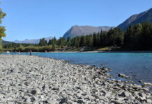 Sanctuary opens for sockeye sport fishing