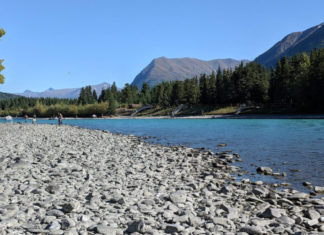 Sanctuary opens for sockeye sport fishing