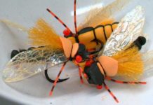 Cicada season helping anglers reel in big fish