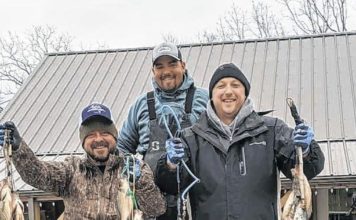 A trifecta of trout rivers in the Ozarks