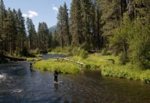 Conditions report for hiking, camping, fishing near Sisters | Explore Central Oregon