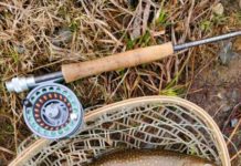 Andy Schafermeyer’s Adventures Afield: June is all about the brook trout | Adventures Afield