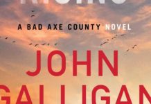 BOOKS: Rural Wisconsin sheriff faces her fears in new mystery | Books & Literature