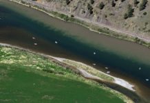 Fishing report: Anglers chasing salmonfly hatch | Outdoors