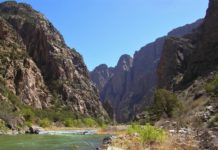 Rainbow trout: An aquatic energizer bunny | Outdoors