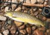 Gene Chague | Berkshire Woods and Waters: Discussing fly fishing’s future on another AuSable pilgrimage | Sports