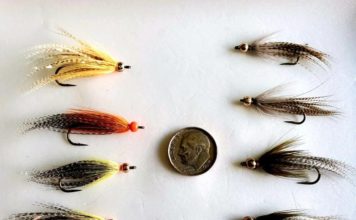 Adventures Afield: Sometimes, fish are lured in curious ways | Adventures Afield