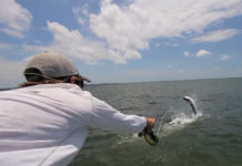 Video Pro Tips: How to Fight Big Fish in Salt Water
