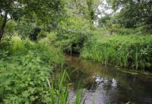 Upper Bure Investigation: Monday – Fish & Fly