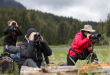 In Southeast Alaska, high-end tourism businesses feast as cruise industry weathers famine