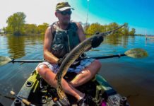 Fishing for longnose gar in Upstate NY with hook-less, rope flies: ‘There’s no experience quite like it’