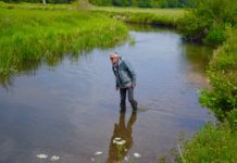 Conservation Corner: Petition Madness – Fish & Fly