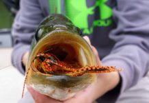 Pro Tips: Top 5 Subsurface Flies for Largemouth Bass