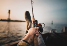 The 11 Best Fishing Rods for 2021