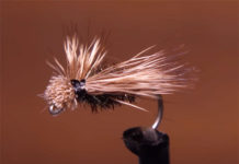 Video: How to Tie the BPS Spent Caddis