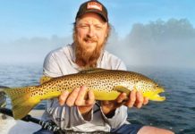 Driftwood Outdoors: Ozarks Trout Rivers