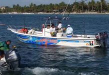 Chetumal will host the Bay Cup of the International Sport Fishing Tournament – The Yucatan Times