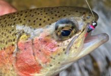 Video: How to Tie the Mini Dart