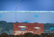 Orvis Guide to Euro-Nymphing, Part 1: Overview