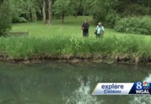 Fly fishing on a lettuce spring run