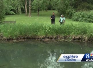 Fly fishing in Letort Spring Run