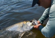 June 4 fishing report from Byron Stout