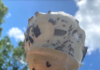 The Joys of Ice Cream and Giving to the Future of NH News