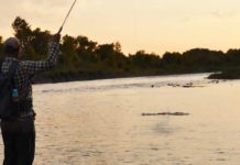 Master Class Monday: How to Set the Hook on Spinner-Eating Trout