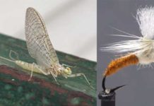 Video: How to Tie a Light Cahill Klinkhåmer