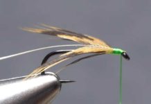 Video: How to Prepare and Tie-In a Soft-Hackle Feather