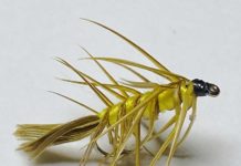 The Yallerhammer, an Appalachian Classic