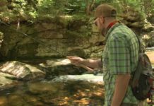 Learn the Japanese sport of Tenkara