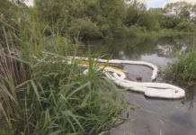 Calls for urgent clean-up after oil and diesel leaks into Hampshire river; ITV News Meridian