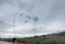 On the fly: The season is upon us