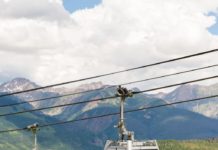 Father’s Day activities, Vail Arts Festival, farmers market, chairlift rides and Climb for Hope: Tricia’s Weekend Picks 6/18/21