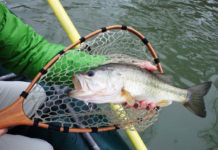 Classic Pro Tips: 7 Keys to Catching River Bass