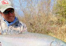 Best bets are alpine lakes, streams