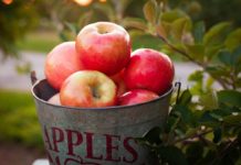 The Great American Road Trip: Destination Empire State