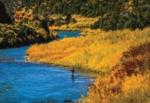 Drought, heat, wildfires force fishing ban on Colorado River