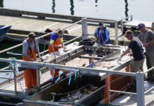 Reeling ‘Em In: Silver fishing remains slight at Nick Dudiak Fishing Lagoon