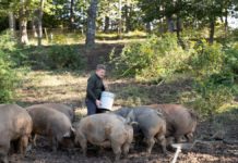 How to watch Gordon Ramsay Uncharted Asheville-focused episode