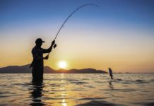 WV to host virtual International Fly Fishing Film Festival | Sports