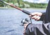 Learn the basics of fly fishing at Leonard Harrison State Park in Wellsboro! | Life
