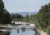 Groups call on Montana governor to form a task force to protect cold water fisheries | Environment