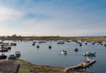 Fishing report: Fishing heats up on lower Yellowstone River | Outdoors