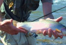 Rob Phillips: Get in the high-elevation streams and fish to cool down | Outdoors and Recreation